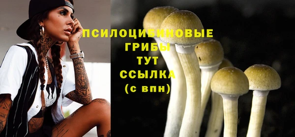 PSILOCYBIN Карпинск