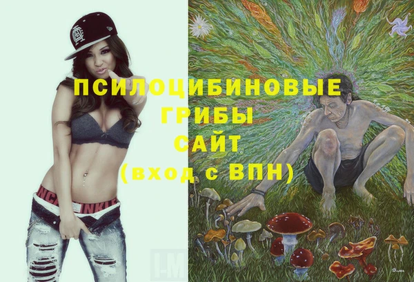 PSILOCYBIN Карпинск