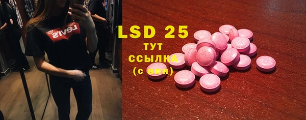 PSILOCYBIN Карпинск