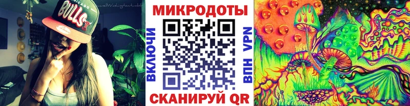 Купить  Губаха  Галлюциногенные грибы Psilocybine cubensis 
